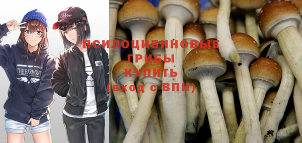 мдма Новозыбков
