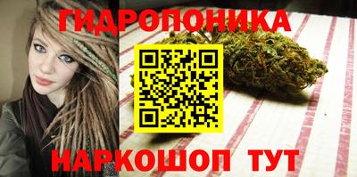 Альфа ПВП Бийск