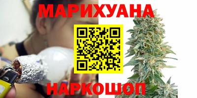 Альфа ПВП Бийск
