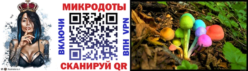 купить закладку  Елец  Галлюциногенные грибы ЛСД 