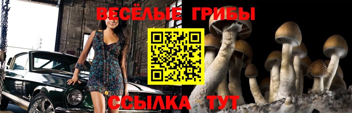 Галлюциногенные грибы Psilocybine cubensis  Вход с VPN  Елец  Галлюциногенные грибы Psilocybe 